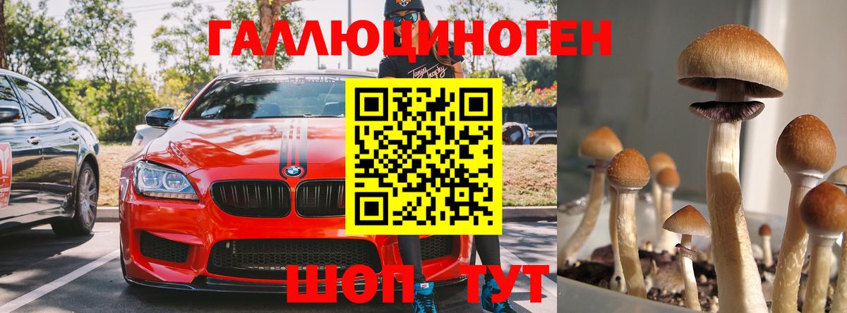 Псилоцибиновые грибы мухоморы Карпинск